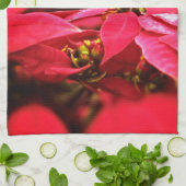 Linge De Cuisine Fleurs Poinsettias Rouges (Plié)