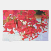 Linge De Cuisine Fleurs rouges de Kalanchoe (Horizontal)