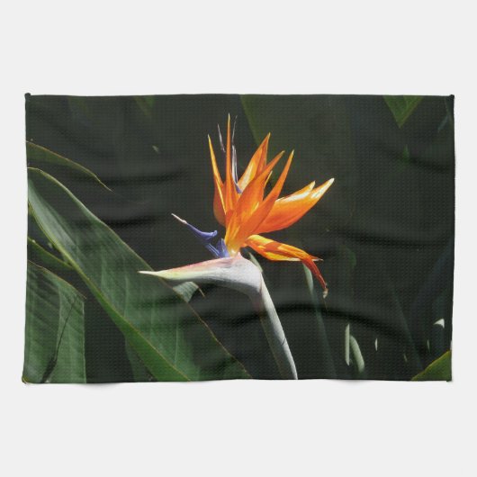 Linge De Cuisine Flower tropical orange paradise (Horizontal)