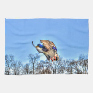 Linge De Cuisine Flying Mallard Duck Drake Wildlife Photo