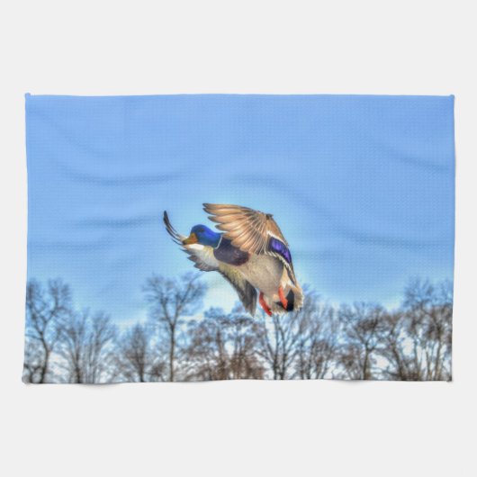 Linge De Cuisine Flying Mallard Duck Drake Wildlife Photo (Horizontal)