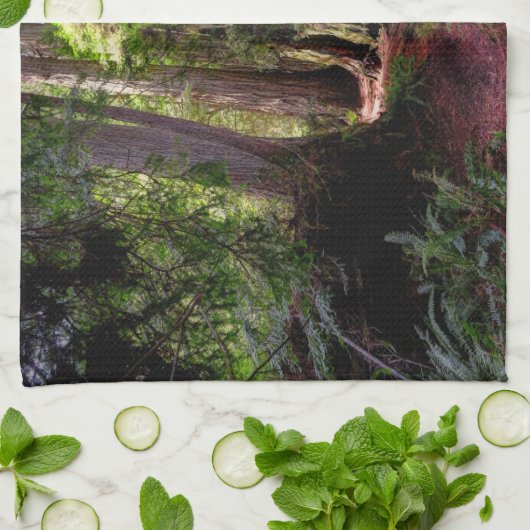 Linge De Cuisine Forest | Séquwood Forest California (Plié)