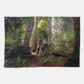 Linge De Cuisine Forest | Séquwood Forest California (Horizontal)