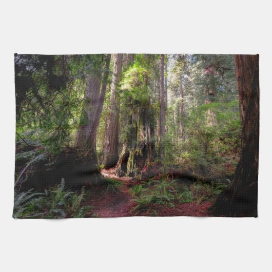Linge De Cuisine Forest | Séquwood Forest California (Horizontal)