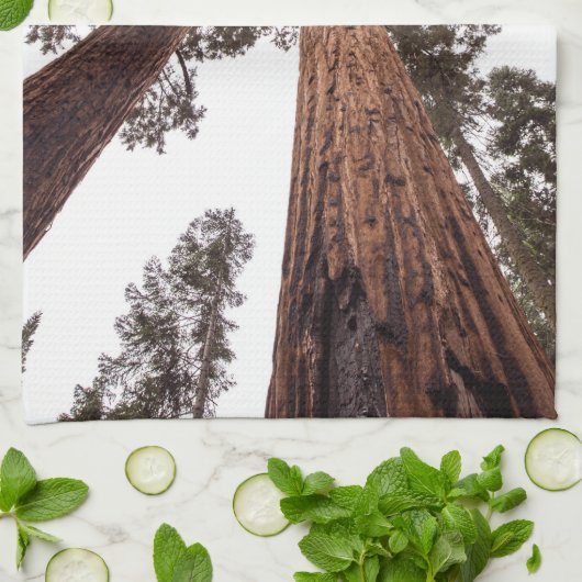Linge De Cuisine forêt, arbre (Plié)