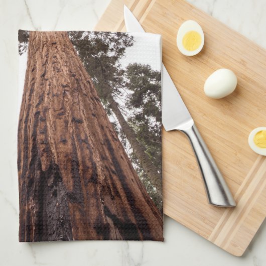 Linge De Cuisine forêt, arbre (Quart Plié)