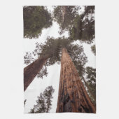 Linge De Cuisine forêt, arbre (Vertical)