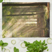 Linge De Cuisine Forêt | Forêt d'automne (Plié)