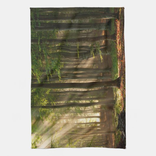 Linge De Cuisine Forêt | Forêt d'automne (Vertical)