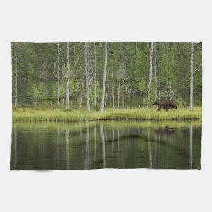 Linge De Cuisine Forêt Ours à la forêt de Taiga Nord de la Finlan