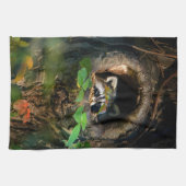 Linge De Cuisine Forêt | Raccoon Peeking (Horizontal)