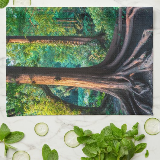 Linge De Cuisine Forêt | Végétation et forêt (Plié)