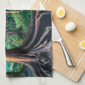 Linge De Cuisine Forêt | Végétation et forêt (Quart Plié)