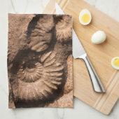 Linge De Cuisine Fossiles de Shell (Quart Plié)