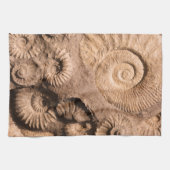 Linge De Cuisine Fossiles de Shell (Horizontal)