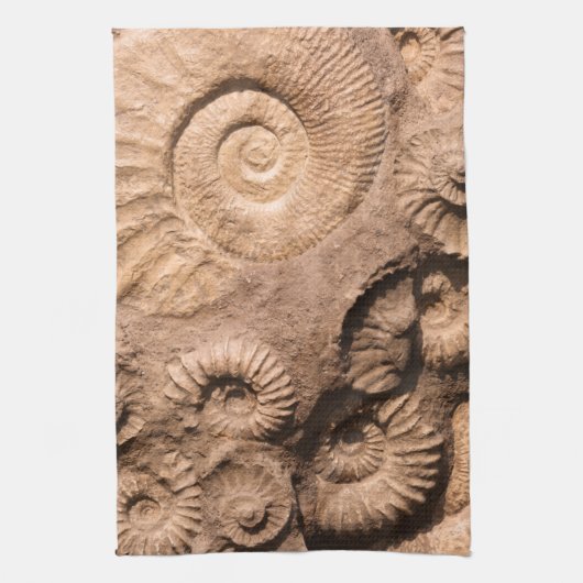 Linge De Cuisine Fossiles de Shell (Vertical)
