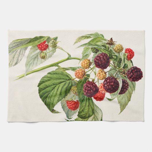 Linge De Cuisine Framboise violette vintage (Horizontal)
