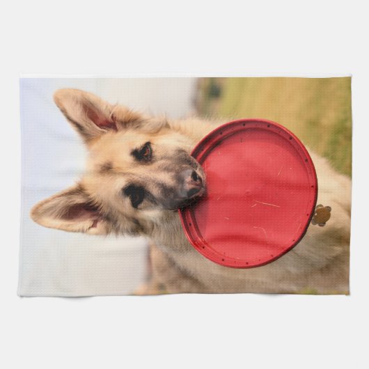 Linge De Cuisine Frisbee (Horizontal)