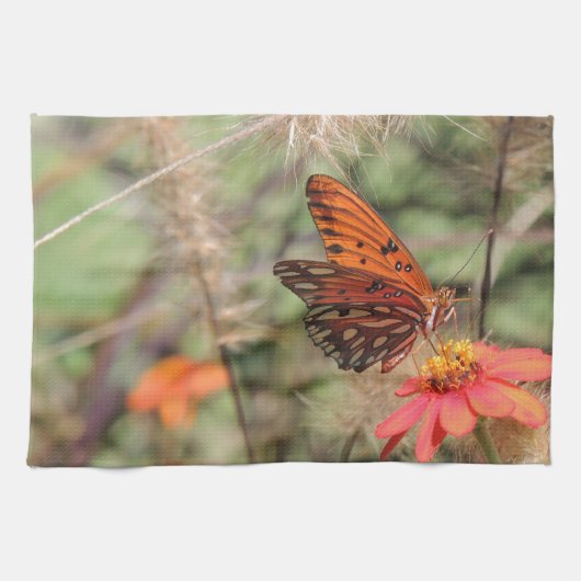 Linge De Cuisine Fritillaire du Golfe sur Zinnia (Horizontal)