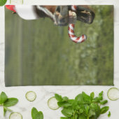 Linge De Cuisine Funny Christmas horse with Santa a smiling (Plié)