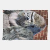 LINGE DE CUISINE FUNNY GORILLA (Horizontal)