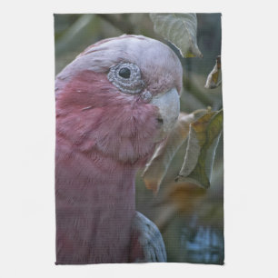 Linge De Cuisine Galah ou Cacatoès à tête rose