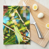 Linge De Cuisine Galilee Acorn (Quart Plié)