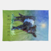 Linge De Cuisine Gallaway ceinturé "Beltie" (Horizontal)