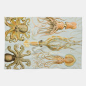 Linge De Cuisine Gamochonia d'Ernst Haeckel (Horizontal)
