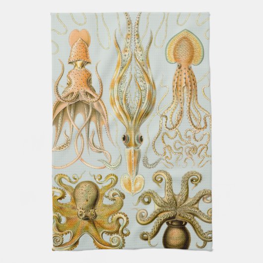 Linge De Cuisine Gamochonia d'Ernst Haeckel (Vertical)