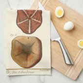 Linge De Cuisine Gemmes Dollars De Sable (Quart Plié)