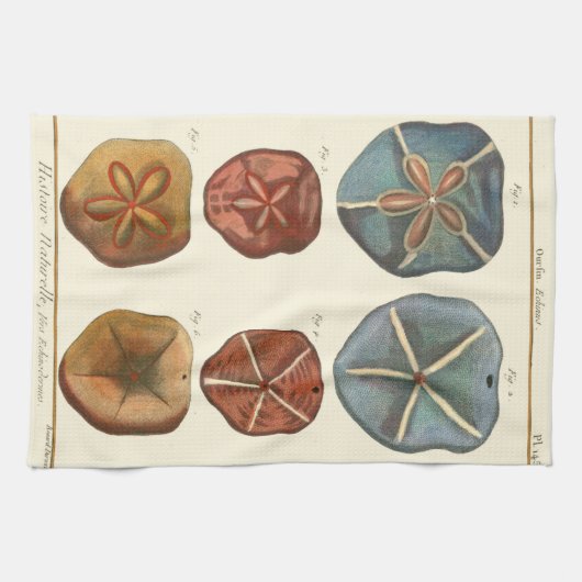 Linge De Cuisine Gemmes Dollars De Sable (Horizontal)