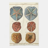 Linge De Cuisine Gemmes Dollars De Sable (Vertical)