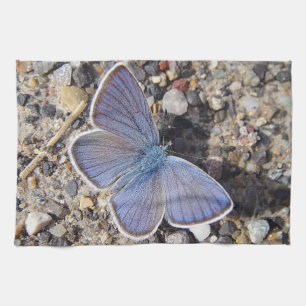 Linge De Cuisine Geschirrtuch blauer Schmetterling