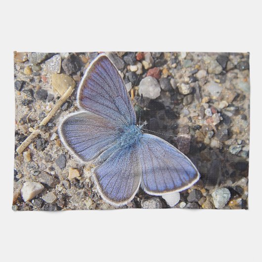 Linge De Cuisine Geschirrtuch blauer Schmetterling (Horizontal)