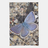 Linge De Cuisine Geschirrtuch blauer Schmetterling (Vertical)