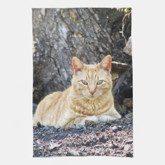 Linge De Cuisine Ginger Boy (Vertical)