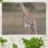 Linge De Cuisine Giraffe Masaï (Giraffe Tippelskirchi) (Plié)