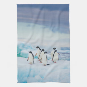 Linge De Cuisine Glace et neige Adelie Penguins Antarctique