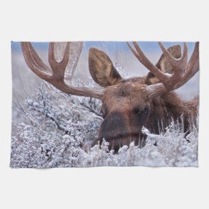 Linge De Cuisine Glace et neige   Grand Teton National Park, Wyomin