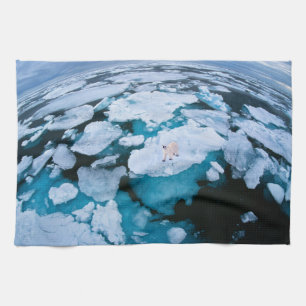 Linge De Cuisine Glace et neige   Ours polaire, Océan Arctique, Sva