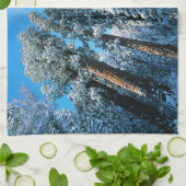 Linge De Cuisine Glace et neige | Parc national de Sequoia, Califor (Plié)