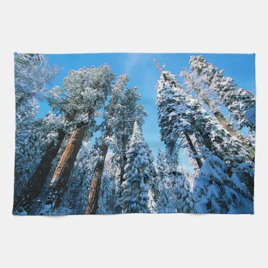 Linge De Cuisine Glace et neige | Parc national de Sequoia, Califor (Horizontal)