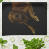 Linge De Cuisine Golden Retriever (Plié)