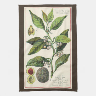 Linge De Cuisine Graines de fruit de noix de muscade vintage, herbe