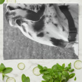 LINGE DE CUISINE GRAND DANE (Plié)