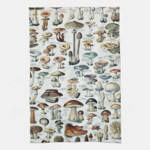 Linge De Cuisine Graphique des champignons comestibles Vintages