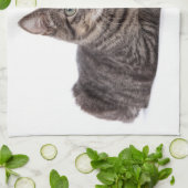 Linge De Cuisine Gray Tabby Cat (Plié)