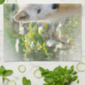 Linge De Cuisine Gray Wolf, Canadian Animal Photography (Plié)