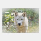 Linge De Cuisine Gray Wolf, Canadian Animal Photography (Horizontal)